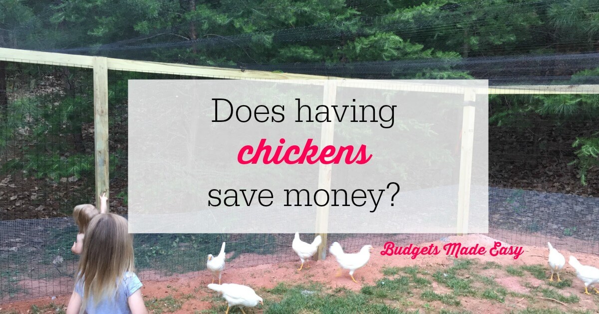 Does having chickens save money?