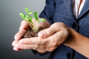 Businesswoman With Seedlings And Coins