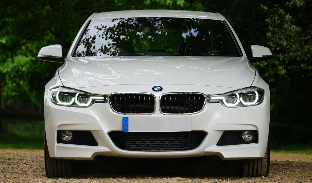 white bow car