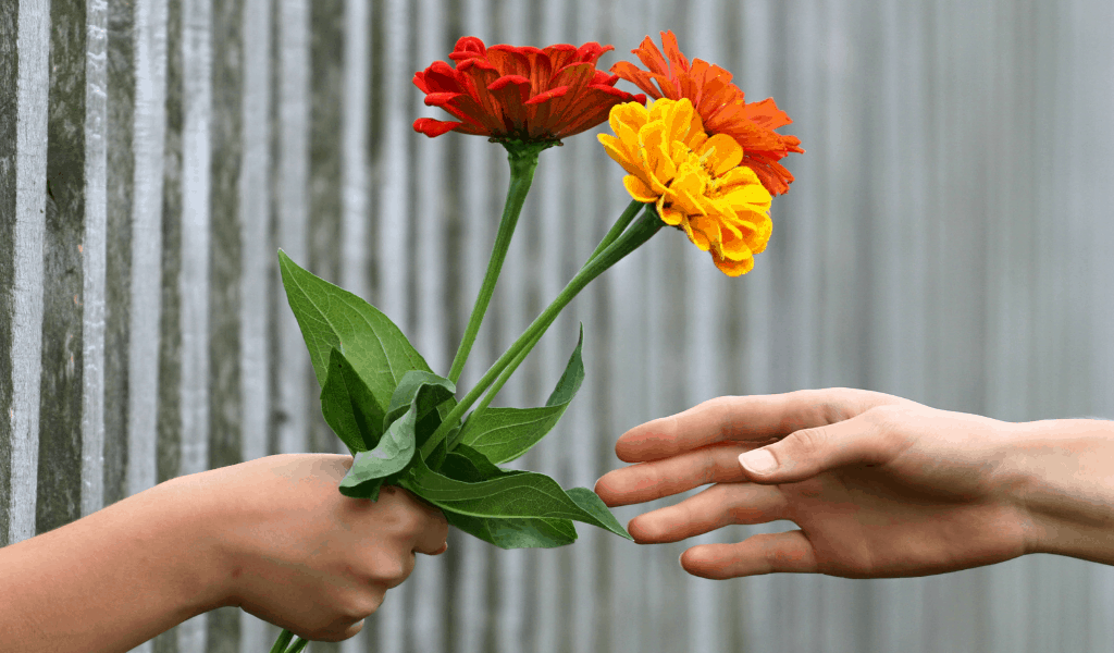 giving flowers