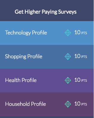 survey junkie point summary