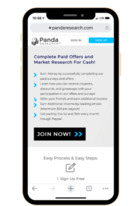 Smart phone with website Panda Research shown on the screen