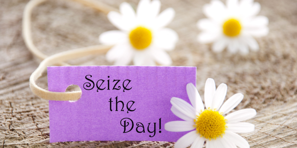 Three daisy flowers placed around a purple card that says "seize the day" when it comes to reaching your financial goals.