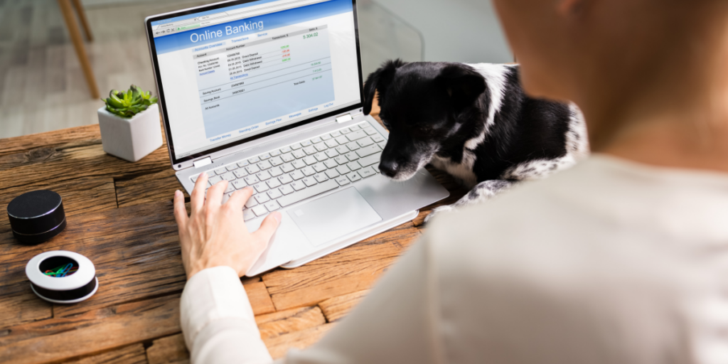 Lady setting up her cashless envelopes via online banking while her dog keeps her company. 