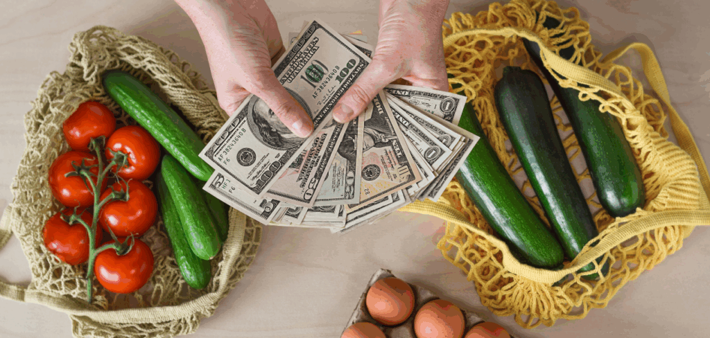 A person holds a fan of dollar bills between two grocery bags filled with vegetables and eggs.