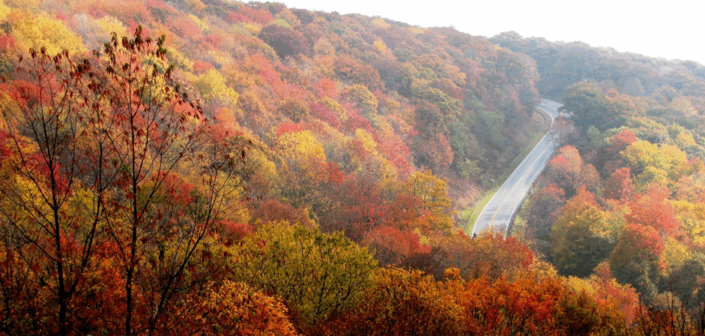 fall in the mountains with a road