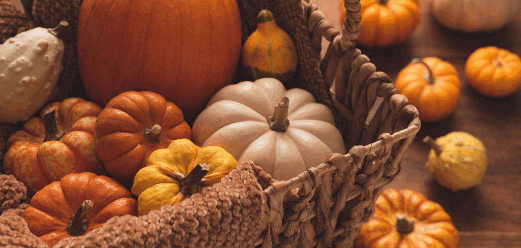 pumpkins in a basket, fall colors